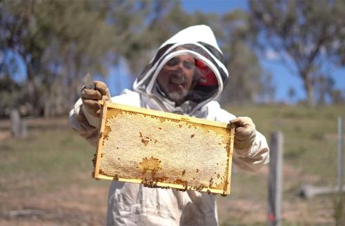 a man is holding up a large bee hive at Cabernet Tiny House by Tiny Away in Windeyer