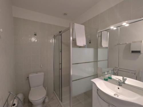 une salle de bain avec toilettes, lavabo et douche dans l'établissement Charme rural et détente près des châteaux de la Loire - FR-1-591-738, à Chabris