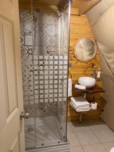 a shower with a glass door in a bathroom at Bosque Vivo in Recinto