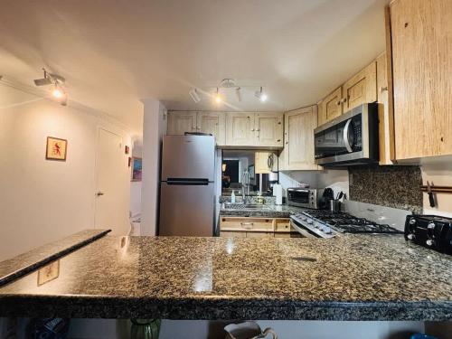 ロサリトにあるOceanview Casita 1BR 1 5BA with poolのキッチン(白い冷蔵庫、木製キャビネット付)