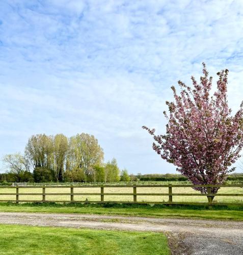 Κήπος έξω από το Orchard Hideaway, Bielby, York