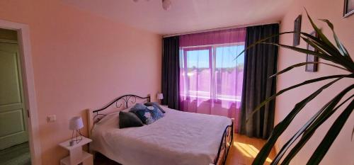 a bedroom with a bed with a window and a plant at Saules 116 in Ventspils