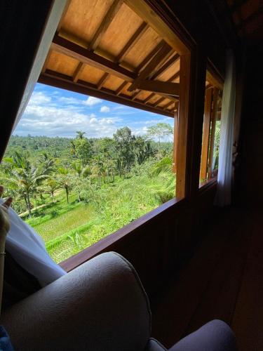 a window in a train looking out at a field at The Alam Bungalow & Restaurant in Tetebatu