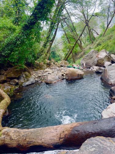 a stream of water with rocks and trees at Sari Highlands Chopta in Sari