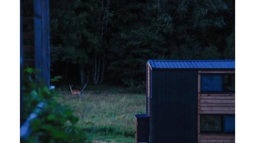 Φωτογραφία από το άλμπουμ του Bostebacken Gard Tiny House by Tiny Away σε Eckerud