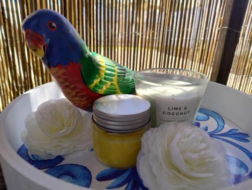 a parrot sitting on a plate with a glass of milk at Corella Accommodation - 1F in Boulder