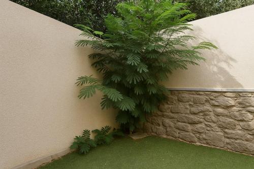 a palm tree leaning against a wall at 819. 2BR Townhouse Sofa Bed TVs 2 Baths Garden in Sheikh Zayed