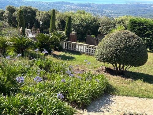 Photo de la galerie de l'établissement Melqart, à Saint-Paul-de-Vence