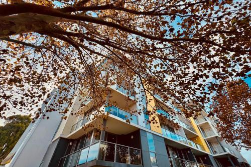 a building with a tree in front of it at Capri on Flinders in Rockingham
