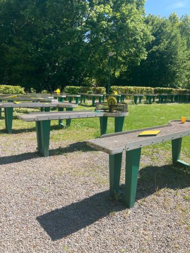 a row of picnic tables in a park at Chalet Séquoia 138 Nature, piscine et chien bienvenu à Durbuy in Durbuy