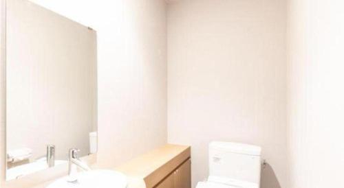 a bathroom with a sink and a mirror and a toilet at NAMBA EBISU HOTEL in Osaka