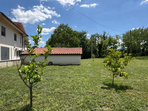 Zahrada ubytování Casa in campagna a Rosciano