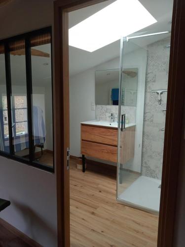 une salle de bain avec une douche, un lavabo et un miroir dans l'établissement La Petite Maison d Exireuil, à La Celle-sous-Gouzon