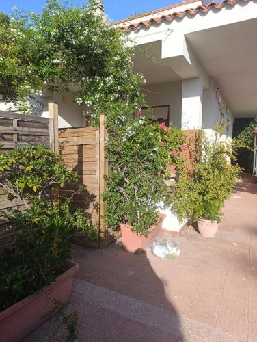 Κήπος έξω από το Villa Aurora