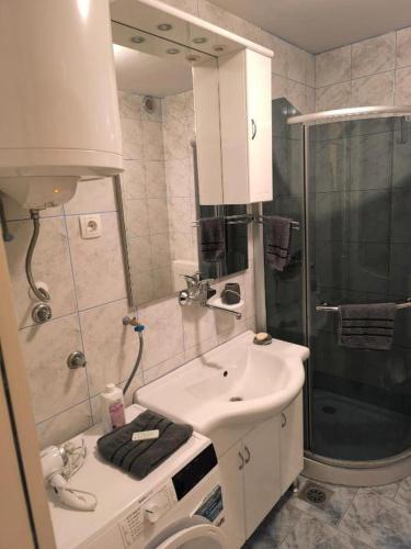 a bathroom with a white sink and a shower at Apartma Dian in Mostec