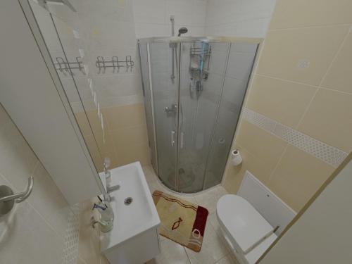 a bathroom with a shower and a toilet and a sink at Po Beržu in Molėtai