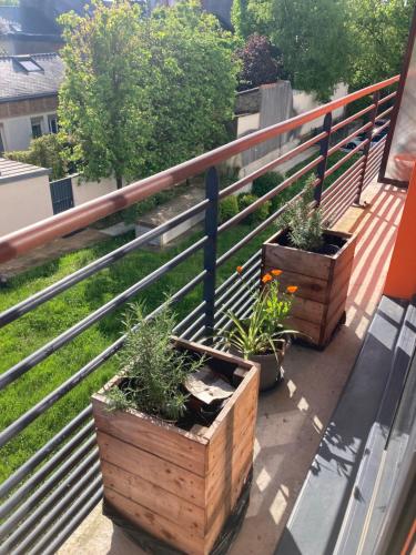 deux plantes dans des caisses en bois sur un balcon dans l'établissement Studio proche gare et jardin des plantes, à Nantes
