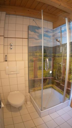 a bathroom with a shower and a toilet at Gute Lage Ferienwohnungen in Bad Dürkheim