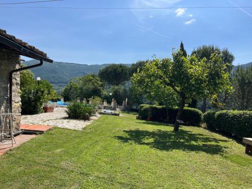 a garden with a tree in the grass at Casa Bianca in Vaiano