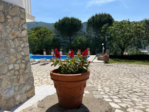a large flower pot with red flowers in it at Casa Bianca in Vaiano