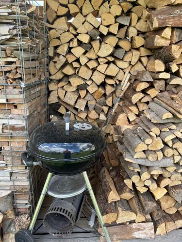 a grill sitting next to a pile of wood at Rezidence Cedrinum in Bublava