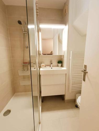 une salle de bain avec une douche, un lavabo et un miroir dans l'établissement Appartement terrasse vue mer, à Sainte-Maxime