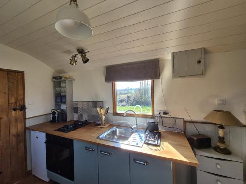 une cuisine avec un évier et un plan de travail dans l'établissement Les trois bergers, à Serley