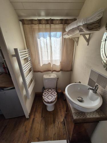 une petite salle de bain avec toilettes et lavabo dans l'établissement Les trois bergers, à Serley