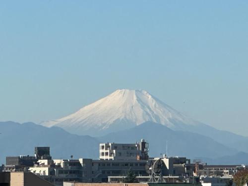 Hideko Apartment 6mins train to Ikebukuro