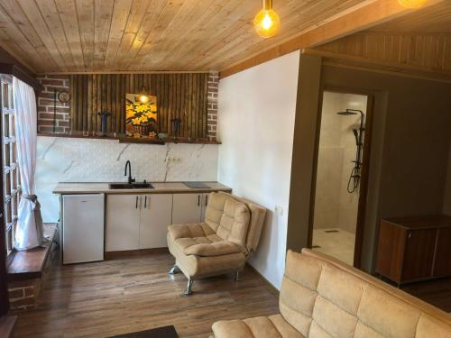 a living room with a couch and a kitchen at Safari House Tbilisi Wine & Family Hotel in Tbilisi City