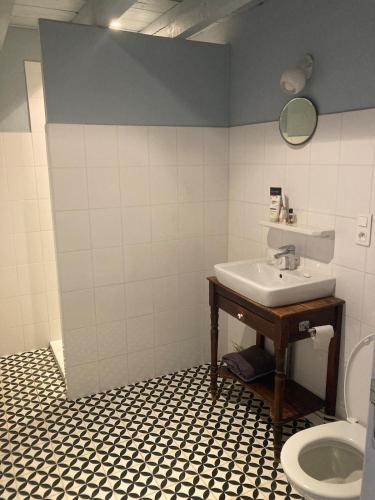 une salle de bain avec un lavabo et des toilettes dans l'établissement Vakantiehuis in groene oasis, à Charensat