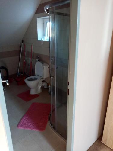 a bathroom with a shower and a toilet at Apartmán Nicolass in Šakvice