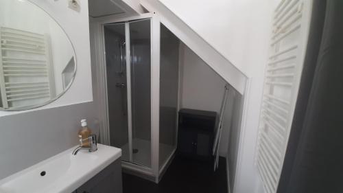 ein Badezimmer mit Waschbecken und Spiegel in der Unterkunft T2 plein centre-ville, Gare à 5 min, Près Ermitage in Maisons-Laffitte