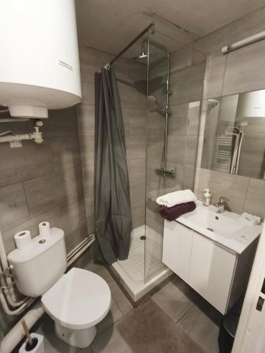 une salle de bain avec une douche, des toilettes et un lavabo dans l'établissement Appartement tout équipé avec parking à 6min à pied de la gare st charles, à Marseille