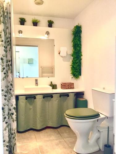 une salle de bain avec un lavabo, des toilettes et un miroir dans l'établissement Garden T2 city center Free parking on site, à Dax