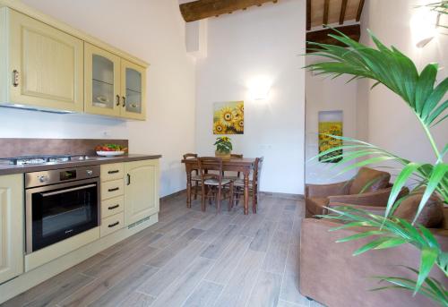 a kitchen and living room with a potted plant at Casale San Galgano in Chiusdino