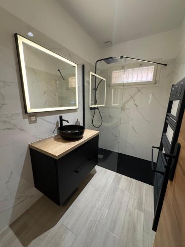 une salle de bain avec un lavabo, un miroir et une douche dans l'établissement Maison proche des plages, à Corbara