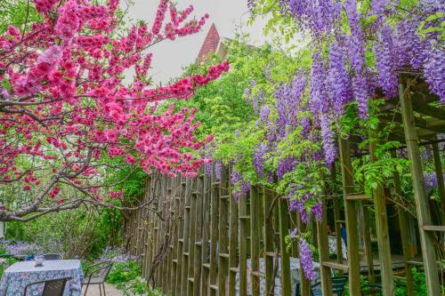 Κήπος έξω από το Zhi Resort Beijing&Peafowl Garden&Breakfast with Deer&Private Hot Spring&50 Meter Swimming Pool&Free Coffee&Close to Olympic Forest Park