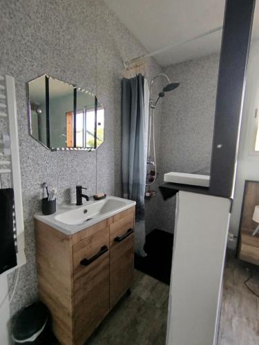 une salle de bain avec un lavabo et un miroir dans l'établissement Maison spa de nage port plage bassin d'Arcachon, à Audenge