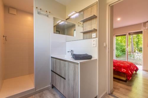 谢尔河畔塞勒La Salamandre - maison avec jacuzzi的带水槽和淋浴的浴室