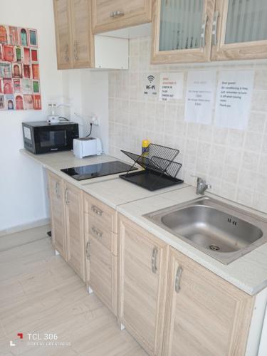 Kuchyň nebo kuchyňský kout v ubytování Rose Apartments Mesonghi