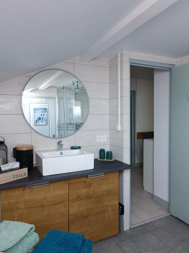 un baño con lavabo y espejo en appartement cosy parking privé, en Chazey-sur-Ain