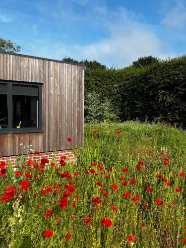 a field of red flowers in front of a building at The Piggery near Bruton in Evercreech