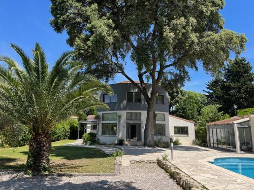 une maison avec un palmier et une piscine dans l'établissement Villa avec piscine et salle de sport, à Castries