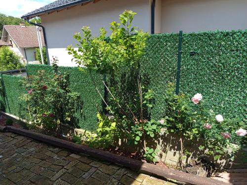 a fence with some plants in a garden at Kucica za odmor Lena I Matija in Sremski Karlovci