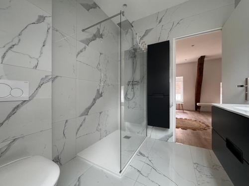 a bathroom with a glass shower and a toilet at La Bella Vigna - Essoyes - 6 prs - 3 bdr in Essoyes