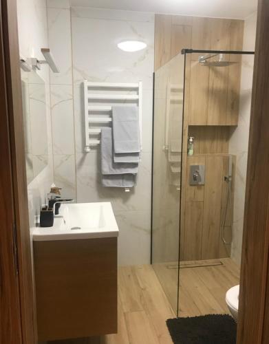 a bathroom with a sink and a shower at Agro Komfort in Bakałarzewo