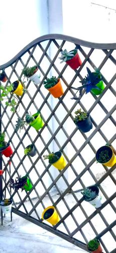 a group of colorful birds sitting on a rack at Civico 381 - private parking in Quartu SantʼElena