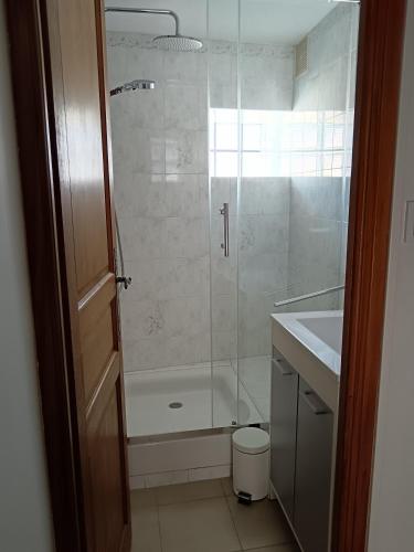 a bathroom with a shower and a toilet and a sink at Gîte des deux platanes in Orgon