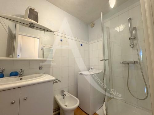 une salle de bain avec une douche, des toilettes et un lavabo dans l'établissement Spacieux T2 avec acces internet a proximite des plages, à Sète